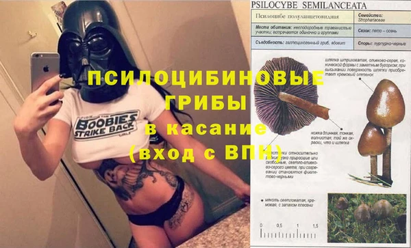 COCAINE Инсар