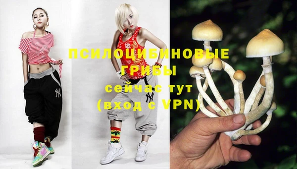 COCAINE Инсар