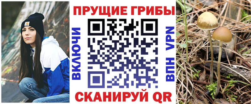 Галлюциногенные грибы прущие грибы  Купить где  Белинский 
